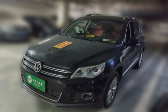 大众 途观 2010款 2.0TSI 自动四驱旗舰版