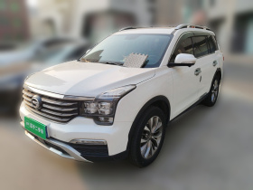 广汽传祺 传祺GS8 2017款 320T 两驱豪华智联版（七座）