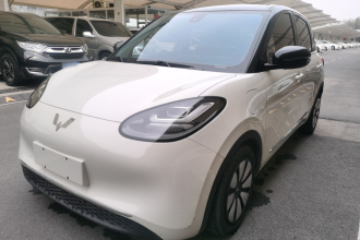 五菱汽车 五菱缤果 2023款 333km 灵犀互联+款