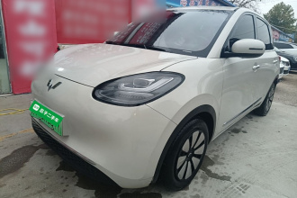 五菱汽车 五菱缤果 2023款 203km 舒享款