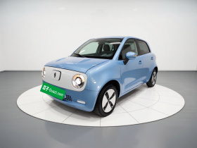 欧拉黑猫 2021款 301km 基础型