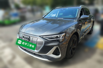 奥迪e-tron 2021款 50 quattro 臻选型