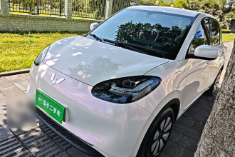 五菱汽车 五菱缤果 2024款 333km 悦享款