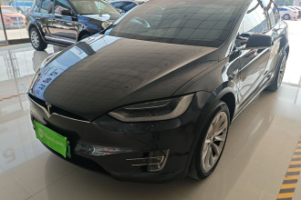 特斯拉 Model X 2019款 长续航版