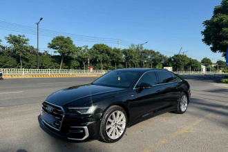 奥迪A6L 2023款 改款 45 TFSI 臻选动感型