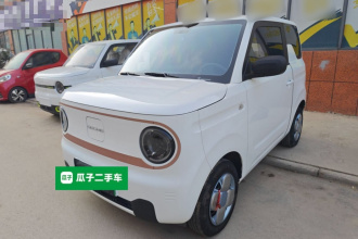 吉利银河 2024款 熊猫mini 200km 龙腾PRO版