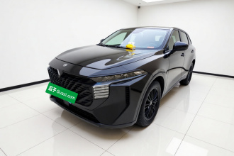 启辰大V 2022款 260T 黑马版·爱豆