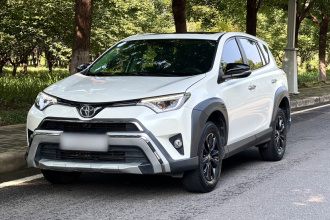 丰田 RAV4荣放 2019款 2.0L CVT两驱风尚X限量版 国VI