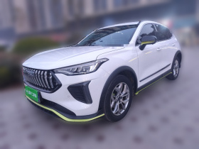 哈弗赤兔 2022款 劲享版 1.5T 紫铜兔