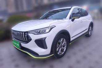 哈弗赤兔 2022款 劲享版 1.5T 紫铜兔