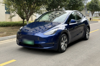 特斯拉 Model Y 2021款 长续航全轮驱动版 3D7