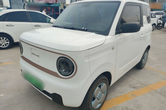 吉利银河 2024款 熊猫mini 200km 耐力熊