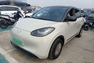 五菱汽车 五菱缤果 2024款 333km 悦享款