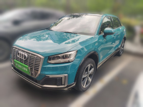 奥迪Q2L e-tron 2019款 Q2L e-tron 纯电智享型