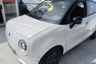 欧拉黑猫 2021款 301km 基础型