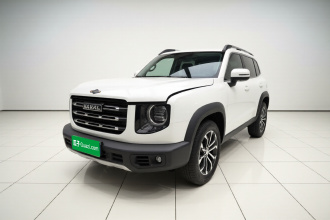 哈弗大狗 2021款 1.5T DCT两驱边牧版