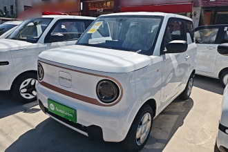 吉利银河 2024款 熊猫mini 200km 耐力熊
