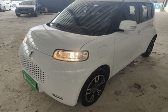 欧拉白猫 2022款 小野猫版 360km 豪华型 三元锂