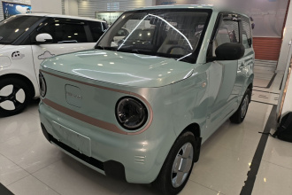 吉利银河 2024款 熊猫mini 200km 耐力熊