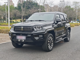 坦克700新能源 2024款 Hi4-T 极境版