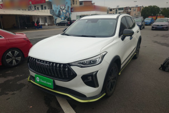 哈弗赤兔 2021款 激擎版 1.5T 黄金兔