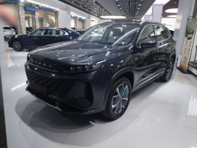 星途追风C-DM 2024款 C-DM 1.5TCI 105KM优享版