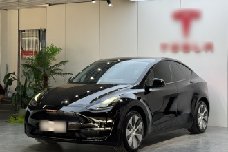 特斯拉 Model Y 2021款 标准续航后驱版