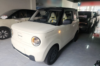 吉利银河 2023款 熊猫mini 200km 耐力熊