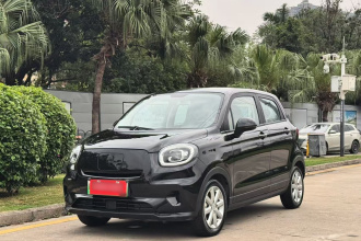 零跑汽车 零跑T03 2022款 皓玉版