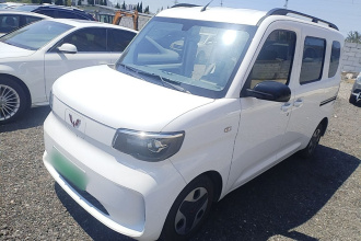 五菱汽车 五菱之光新能源 2025款 305km 进取型