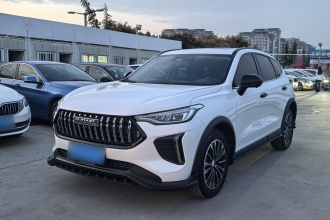 哈弗赤兔 2023款 1.5T 动感型