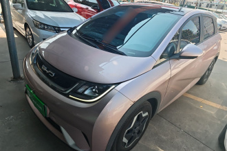 比亚迪 海豚 2021款 405km 时尚版