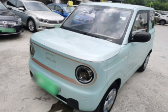 吉利银河 2023款 熊猫mini 200km 耐力熊