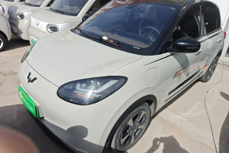 五菱汽车 五菱缤果 2023款 410km 灵犀尊享款