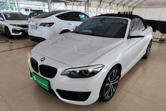 宝马2系(进口) 2019款 225i 敞篷轿跑车 运动设计套装