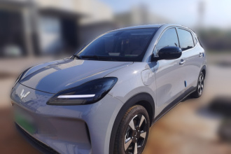 五菱汽车 五菱缤果PLUS 2024款 330km 五座版