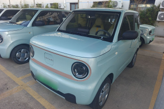 吉利银河 2024款 熊猫mini 200km 耐力熊