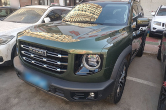 哈弗大狗 2021款 1.5T DCT两驱边牧-旺财版