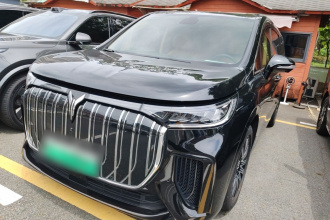 岚图汽车 岚图梦想家 2025款 EV 长续航世纪版
