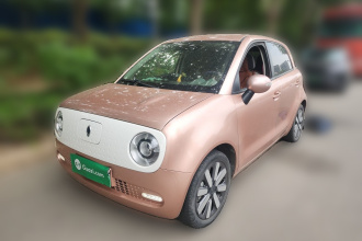欧拉黑猫 2021款 351km 豪华型