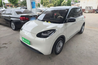 五菱汽车 五菱缤果 2024款 333km 悦享款