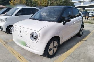 欧拉黑猫 2022款 改款 301km 萌宠版 磷酸铁锂