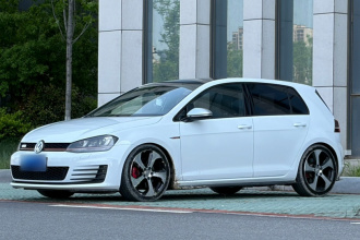 大众 高尔夫GTI 2016款 2.0TSI GTI