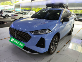 魏牌 玛奇朵DHT-PHEV 2021款 1.5L 大师版