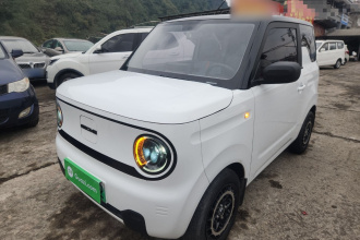 吉利银河 2023款 熊猫mini 200km 灵动熊