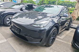 特斯拉 Model Y 2024款 后轮驱动版