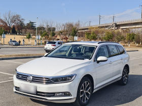 大众 蔚揽 2018款 380TSI 两驱舒行版