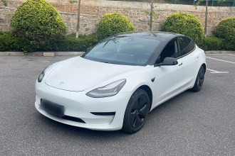 特斯拉 Model 3 2019款 标准续航后驱升级版