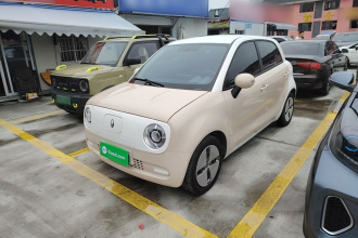 欧拉黑猫 2022款 301km 萌动型 磷酸铁锂