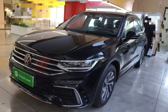 大众 途观L新能源 2023款 430PHEV 插电混动尊贵版